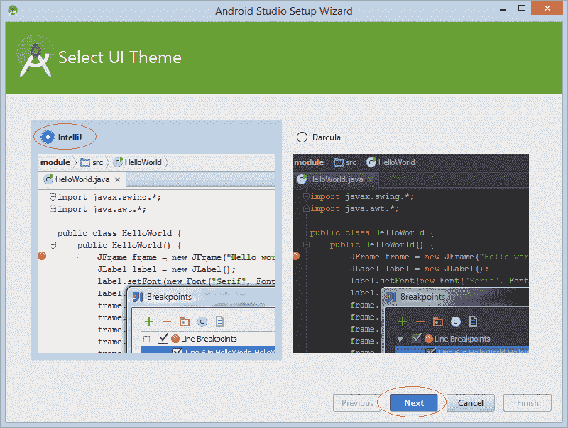 Step 9: Select theme