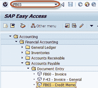 How to post a Purchase Return FB65 in SAP FI