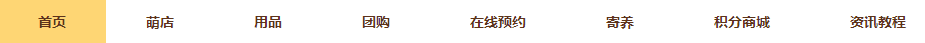 首页导航分类