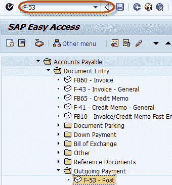 How to post Outgoing Vendor Payment F-53 in SAP