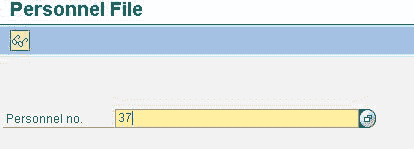 How to view all Infotypes Saved for an Employee PA10 in SAP