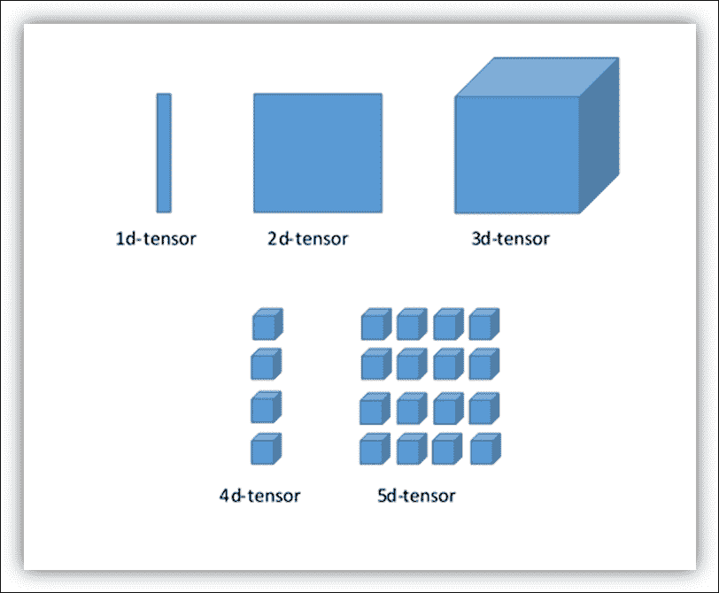 The tensor data structure