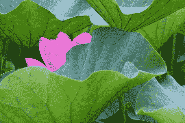 A Gentle Introduction to Applied Machine Learning as a Search Problem