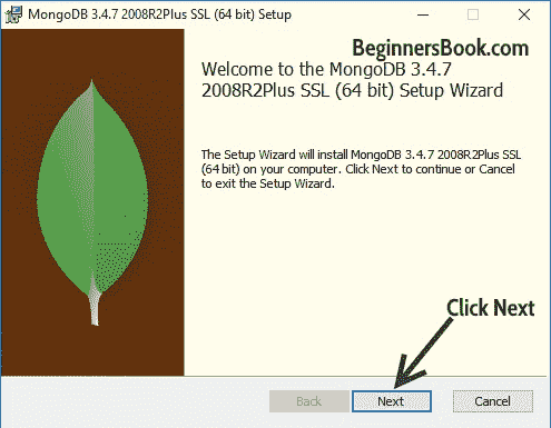 MongoDB installation window