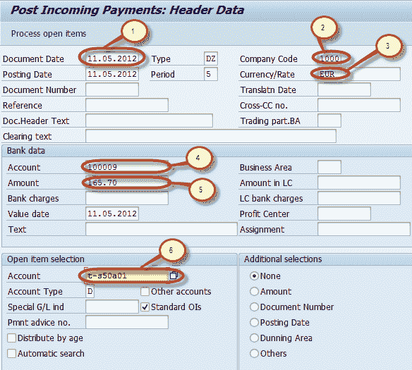 How to post Customer Incoming Payments F-28 in SAP