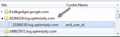 Cookie Testing Tutorial with Sample Test Cases