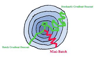 training process with various batch sizes