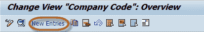 How to Create a Company Code in SAP & Assign Company Code
