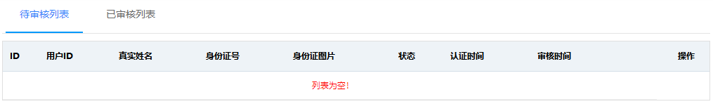 待审核列表