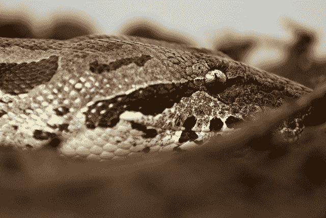 Python Ecosystem for Machine Learning