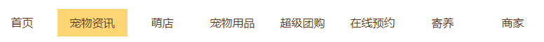 引导
