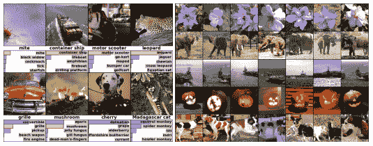 Example of Object Classification