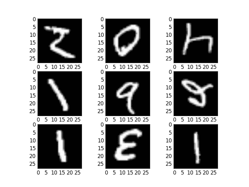 Randomly Flipped MNIST Images