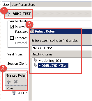 SAP HANA Security: Complete Tutorial